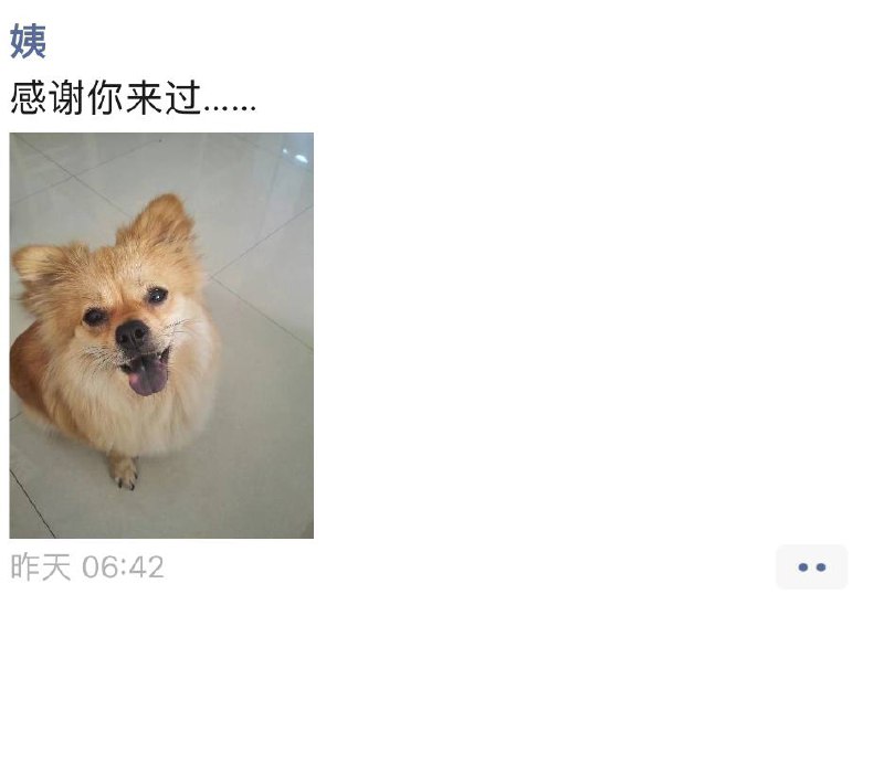 真事，让我很气愤我姨家里有一只小狗，曾经去过我姨家，真的很可爱很听话，还不咬人