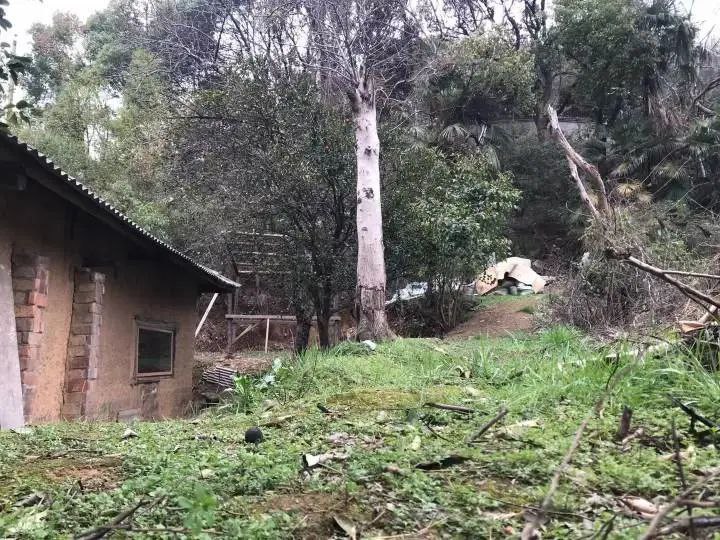 我们几个难兄难弟头脑一热就租下了这座荒废几十年的岳麓山下的小院，从租下它到装成现在这样…整整3年了，完美还原叙利亚的战损风…今天抽空过去看了一眼，什么时候能开火还遥遥无期，十年期限只剩7年了…😂😂哎…我们几个难兄难弟头脑一热就租下了这座荒废几十年的岳麓山下的小院，从租下它到装成现在这样…整整3年了，完美还原叙利亚的战损风…今天抽空过去看了一眼，什么时候能开火还遥遥无期，十年期限只剩7年了…😂😂哎…