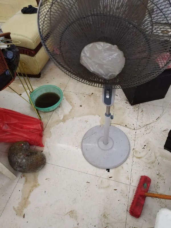 提前一个星期说去女友家吃饭，第一次去到之后发现卫生没有打扫也没有水喝，她父母忙到晚上8点多才回家，吃饭就一只鸡（我拿去还要自己杀自己煮）一个青菜一个汤，屋子有老鼠蟑螂跑，饭桌上有类似蛆虫在爬，这就是尊重未来姑爷的方式吗？我还能要这样的岳父岳母吗