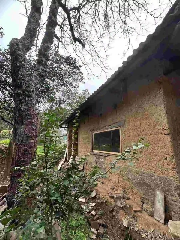 我们几个难兄难弟头脑一热就租下了这座荒废几十年的岳麓山下的小院，从租下它到装成现在这样…整整3年了，完美还原叙利亚的战损风…今天抽空过去看了一眼，什么时候能开火还遥遥无期，十年期限只剩7年了…😂😂哎…我们几个难兄难弟头脑一热就租下了这座荒废几十年的岳麓山下的小院，从租下它到装成现在这样…整整3年了，完美还原叙利亚的战损风…今天抽空过去看了一眼，什么时候能开火还遥遥无期，十年期限只剩7年了…😂😂哎…
