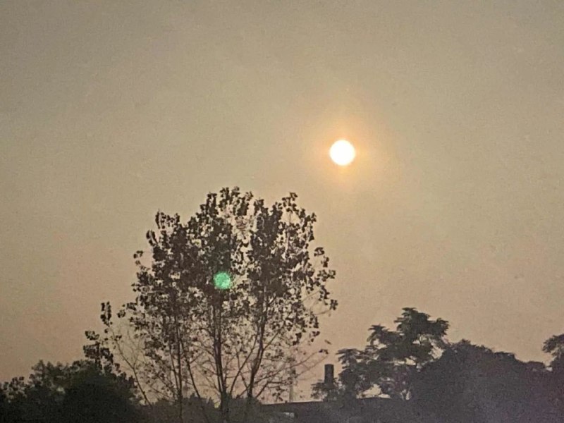 身边很热闹，却感觉到了一阵非常强烈的孤独感，突然感觉自己白活了半生，除了我妈，好像没有被任何人爱过，或者说自己也没有有心爱上过任何人！因为自己一直都是生活的能手，却不是一在用自己的心在活，想想后怕，怕自己一生就此般太理性而无爱一生…..，真的很怕！谁能告诉我怎么办？？大梦里面好像也找不到答案，或许成年人的世界就是如此吧