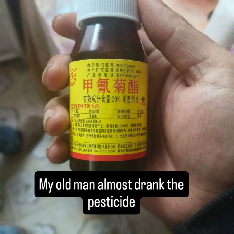 随着社会的不断进步，科技和文明的发展，我们的生活发生了巨大的变化，尤其是人工智能已成为老少两代人的生活伙伴