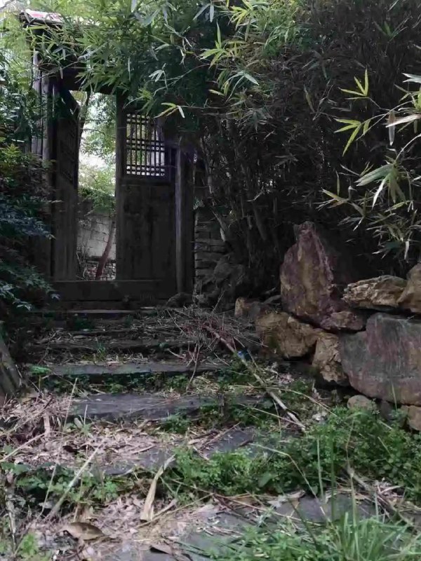 我们几个难兄难弟头脑一热就租下了这座荒废几十年的岳麓山下的小院，从租下它到装成现在这样…整整3年了，完美还原叙利亚的战损风…今天抽空过去看了一眼，什么时候能开火还遥遥无期，十年期限只剩7年了…😂😂哎…我们几个难兄难弟头脑一热就租下了这座荒废几十年的岳麓山下的小院，从租下它到装成现在这样…整整3年了，完美还原叙利亚的战损风…今天抽空过去看了一眼，什么时候能开火还遥遥无期，十年期限只剩7年了…😂😂哎…