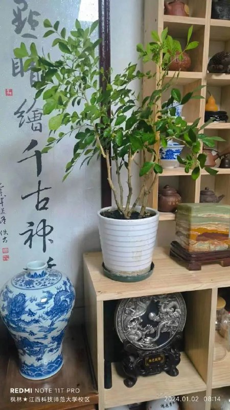 早上7:00起床，由于元旦刚过，学校还是很仁慈的推晚上课时间8点上学，比较放假前都需6:00起床，真心有些累，特别心累！边刷牙边烧水下鸡蛋，水饺，60分钟自己煮早餐足够时间了