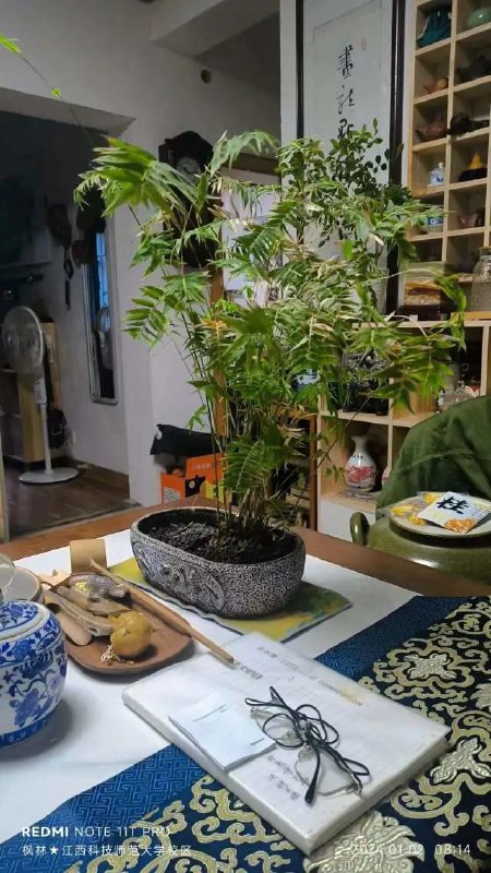 早上7:00起床，由于元旦刚过，学校还是很仁慈的推晚上课时间8点上学，比较放假前都需6:00起床，真心有些累，特别心累！边刷牙边烧水下鸡蛋，水饺，60分钟自己煮早餐足够时间了
