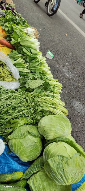 每次逛菜市场都要感概一番，你们以为菜市场这种菜安全吗？其实是农药十叶面肥十尿素等高科技合成的，我以前种菜十年自己吃，十八年没种过菜了，今年在老家县城租了几分地种点自己吃，才知道有一种肥料叫叶面肥，加尿素打了蔬菜绿油油的，过几天就打一次，适当的打一点对身体没害，打多了吃了对身体是不好的，包菜容易起虫，一星期要打2次农药，市场上本省人种的菜我只要看一眼就知道哪些菜是高科技合成的菜，哪些菜是好菜，但这又如何，还不是要买菜吃